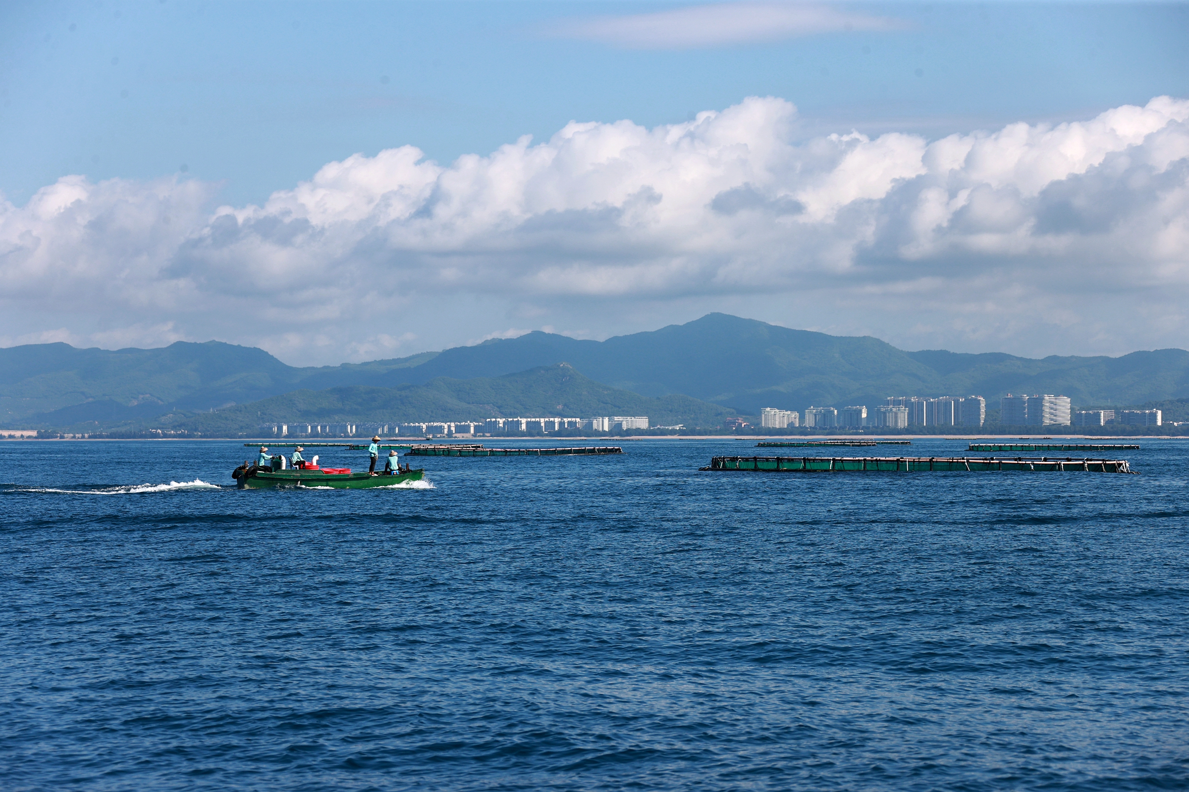 三亞環農集團海洋產業公司入選國家級、省級科技型中小企業名單